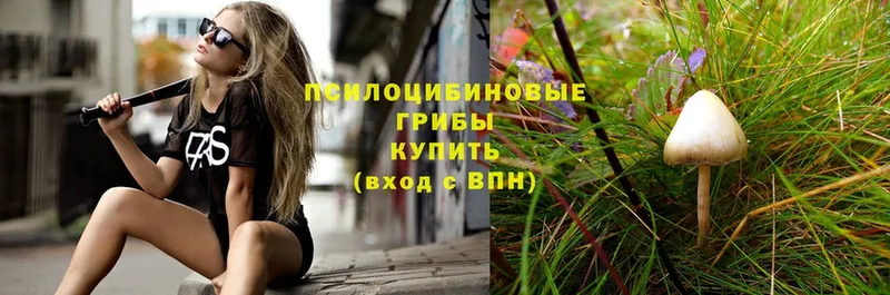 хочу   KRAKEN ССЫЛКА  Псилоцибиновые грибы Psilocybe  Качканар 